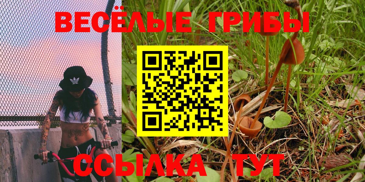 Псилоцибиновые грибы MAGIC MUSHROOMS  Галлюциногенные грибы Cubensis  Вход с VPN  Краснокаменск 